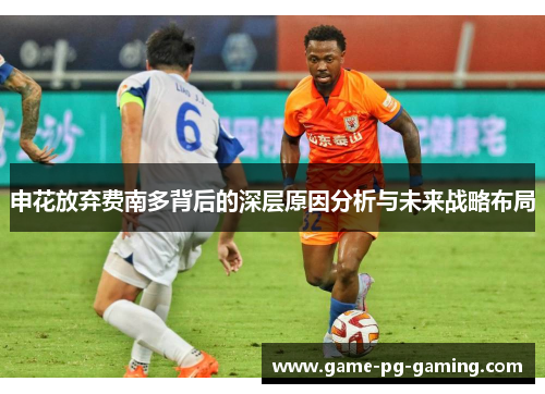 申花放弃费南多背后的深层原因分析与未来战略布局