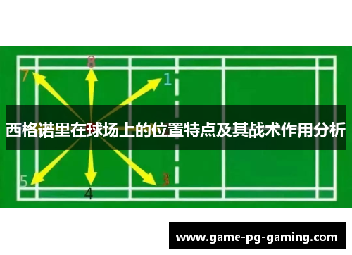 西格诺里在球场上的位置特点及其战术作用分析