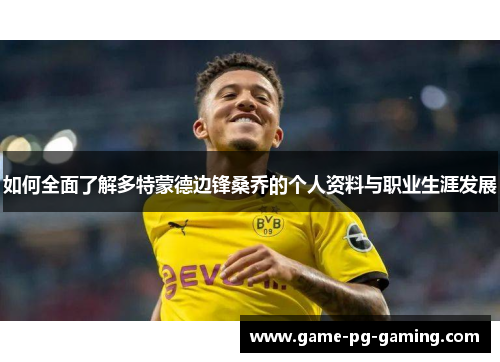 如何全面了解多特蒙德边锋桑乔的个人资料与职业生涯发展